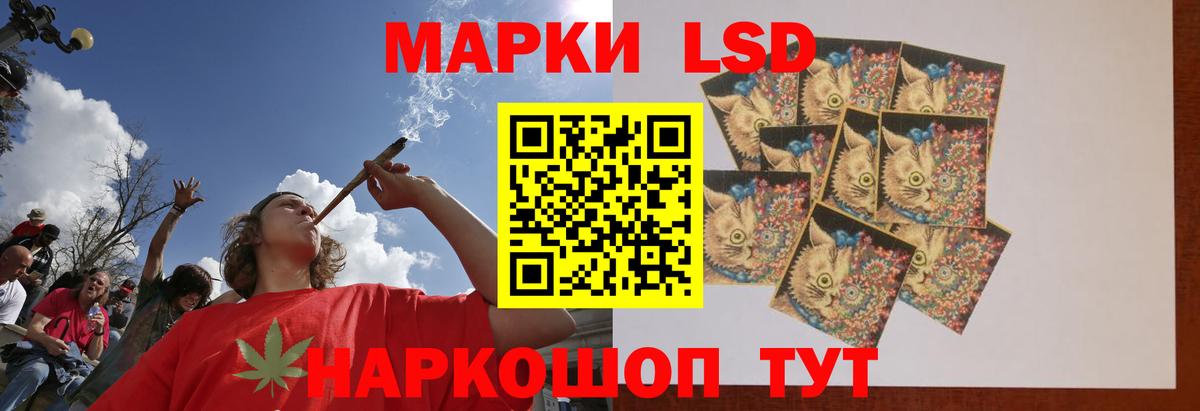 APVP Дятьково
