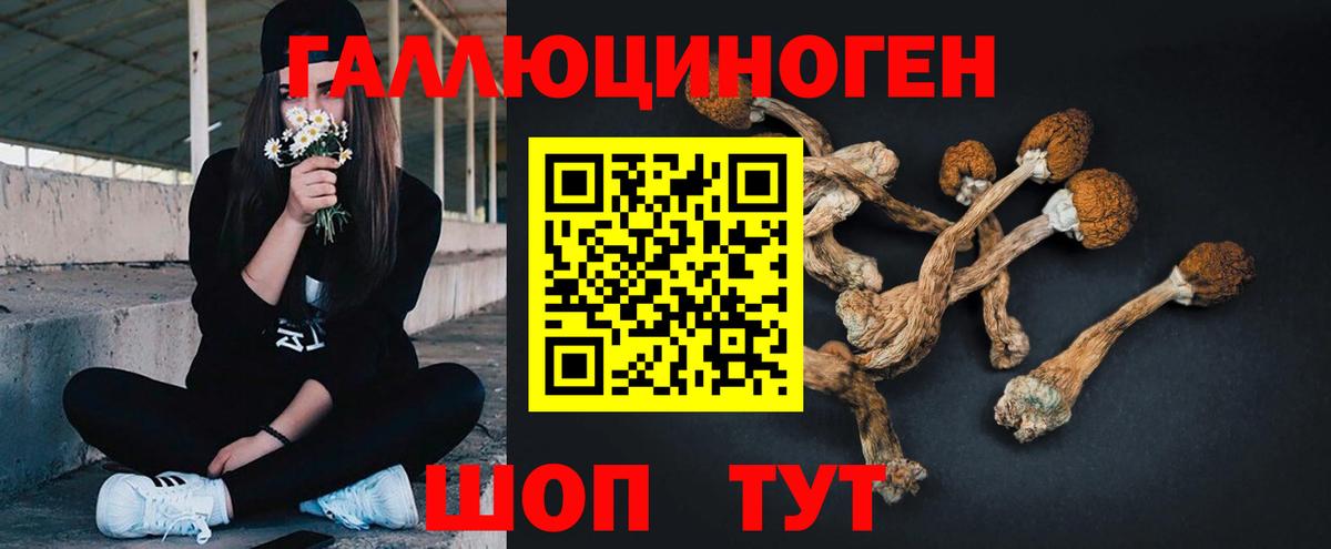 Псилоцибиновые грибы Psilocybine cubensis  где купить   Дятьково  Вход с VPN 